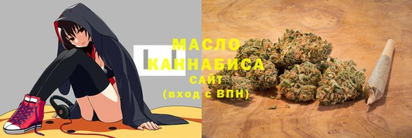 тгк Армянск