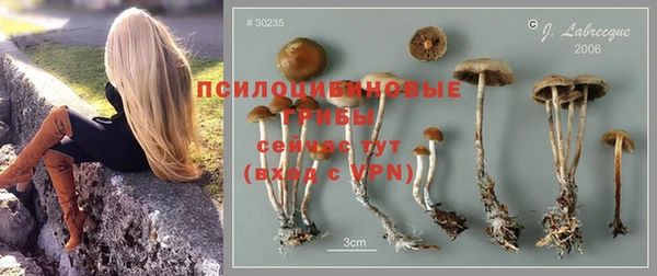 mdpv Саяногорск