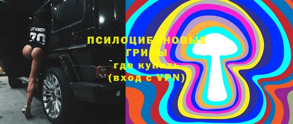 ешки Арсеньев
