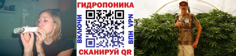 Бошки Шишки THC 21%  Углич 